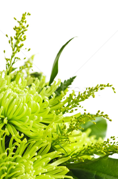 Foto stock: Flor · floral · verde · Pascua