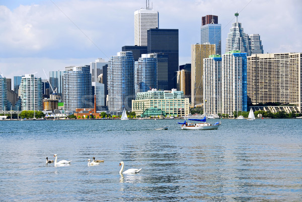 Toronto skyline haven wolkenkrabbers zeilboot business Stockfoto © elenaphoto