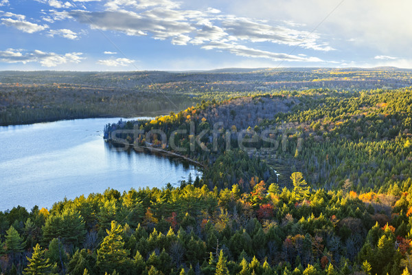 Fall forest and lake top view Stock photo © elenaphoto