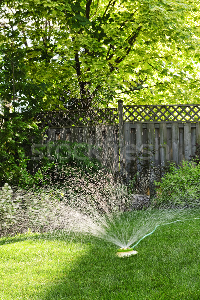 Lawn sprinkler watering grass Stock photo © elenaphoto