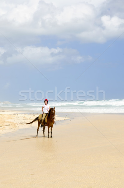 Girl riding horse on beach Stock photo © elenaphoto