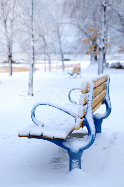 冬 ベンチ カバー 雪 空っぽ 公園 ストックフォト © elenaphoto