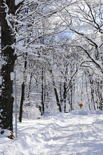 Winter street Stock photo © elenaphoto