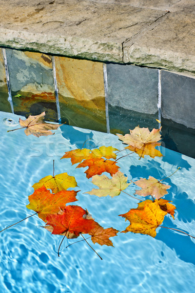 Fall leaves floating in pool Stock photo © elenaphoto