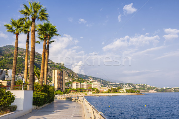 Promenade Monaco middellandse zee kust Stockfoto © elenaphoto