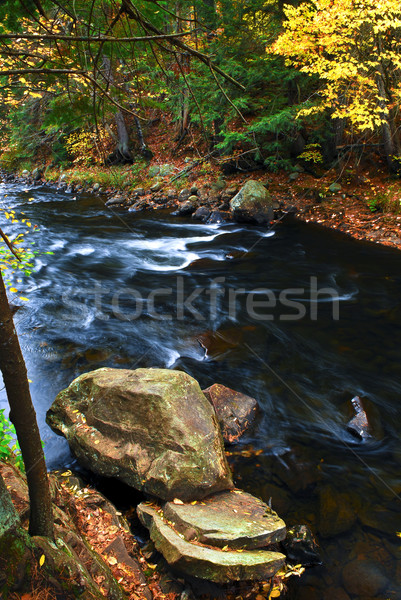 Fall river landscape Stock photo © elenaphoto
