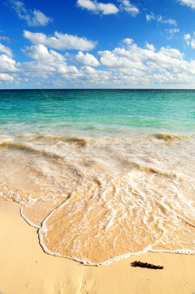 Zdjęcia stock: Tropikalnej · plaży · tropikalnych · plaża · piaszczysta · fali · Błękitne · niebo · plaży