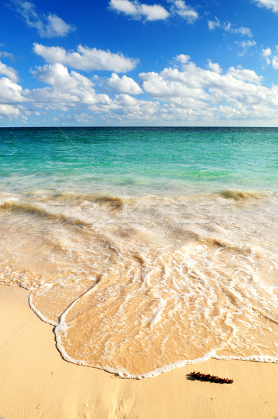 Foto stock: Praia · tropical · tropical · praia · onda · blue · sky · praia