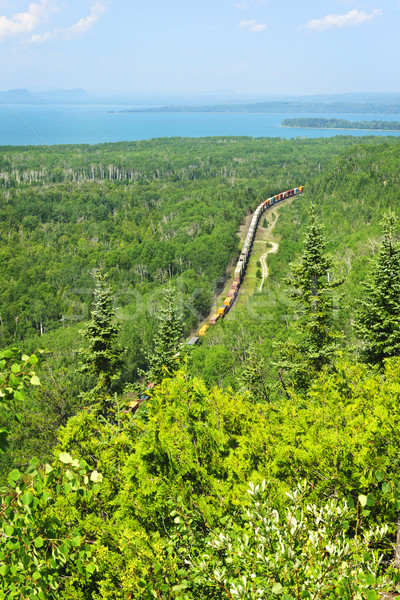 Tren ontario Canada în mişcare pădure Imagine de stoc © elenaphoto