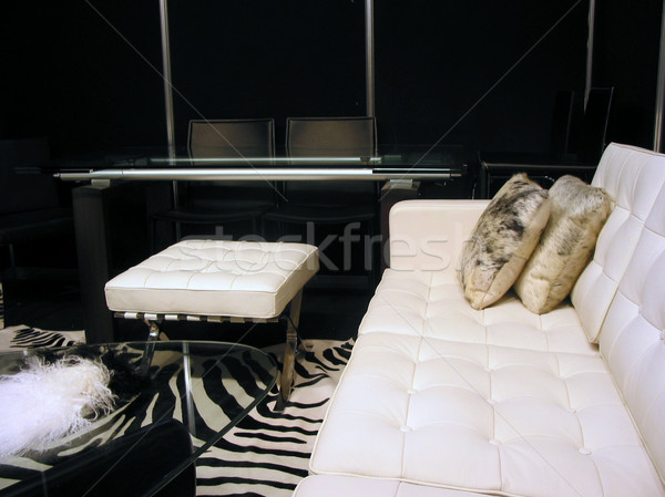 Living room in black and white Stock photo © elenaphoto