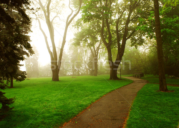 Ködös park út zöld tavasz fű Stock fotó © elenaphoto