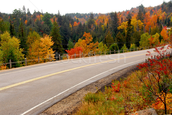 Fall highway Stock photo © elenaphoto