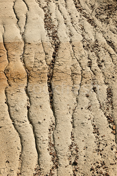 Eroded soil Stock photo © elenaphoto