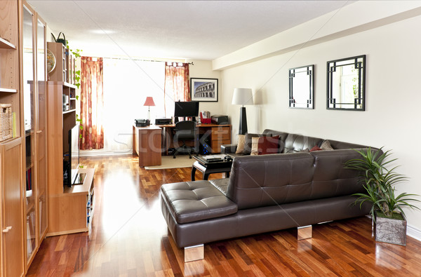 Modern nappali belső keményfa padló mű fotós Stock fotó © elenaphoto