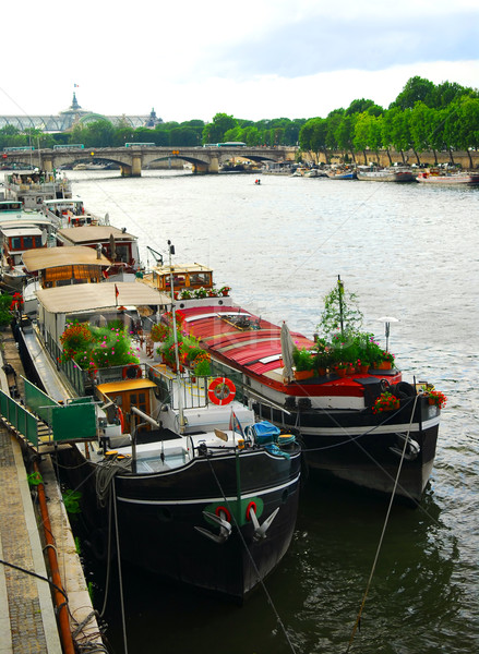 Houseboats in Paris Stock photo © elenaphoto
