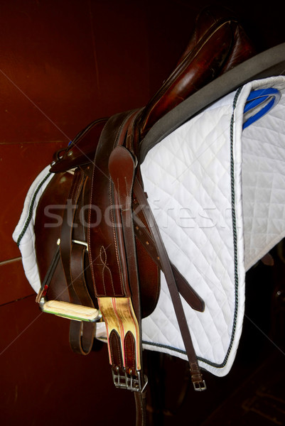 Stock foto: Sattel · Rack · Reißzwecke · Zimmer · Reiten · Ausrüstung