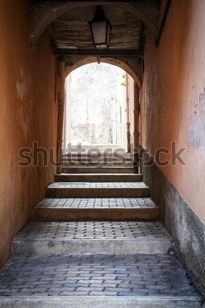Vaulted passage in Villefranche-sur-Mer Stock photo © elenaphoto