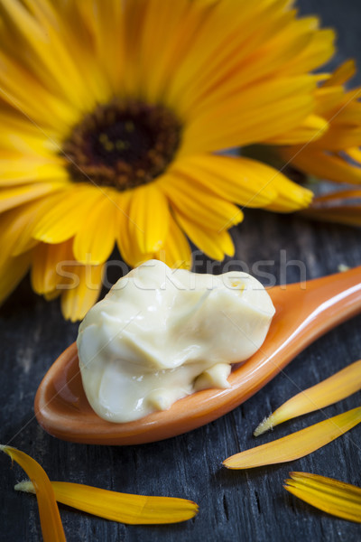 Calendula cream Stock photo © elenaphoto