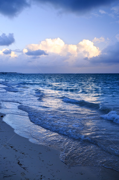 Ocean waves on beach at dusk Stock photo © elenaphoto