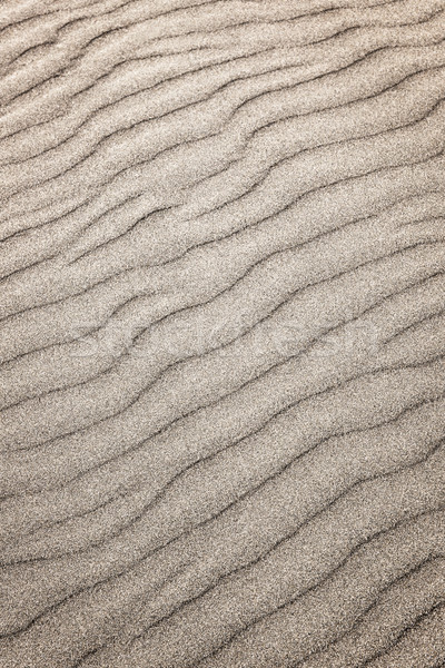 Sand ripples background Stock photo © elenaphoto