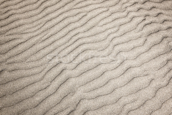 Sand ripples background Stock photo © elenaphoto