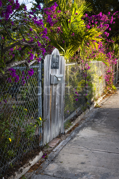 Key West street Stock photo © elenaphoto