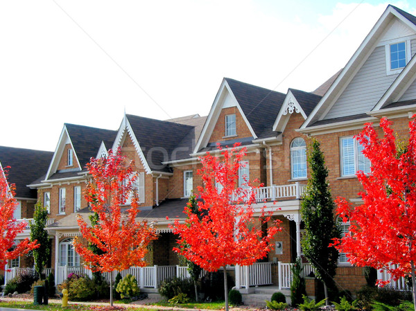 [[stock_photo]]: Nouvelle · immobilier · rangée · lumineuses · rouge · automne