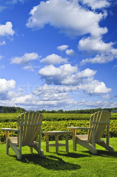 Chairs overlooking vineyard Stock photo © elenaphoto