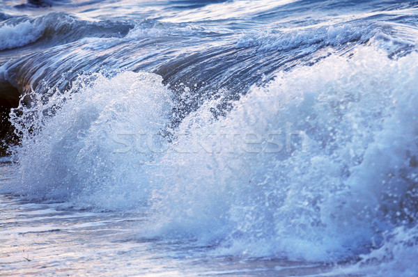 Wave in stormy ocean Stock photo © elenaphoto