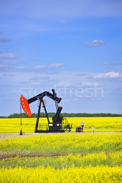 Olaj pumpa olajfúró torony ló egység Saskatchewan Stock fotó © elenaphoto