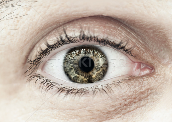 Mannelijke oog macro ooglid Stockfoto © elenaphoto
