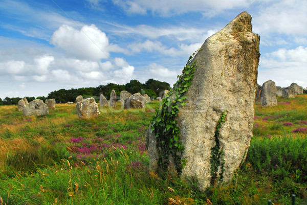 Megalithic monuments in Brittany Stock photo © elenaphoto