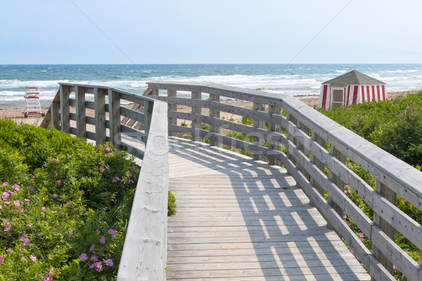Wooden walkway to ocean beach Stock photo © elenaphoto