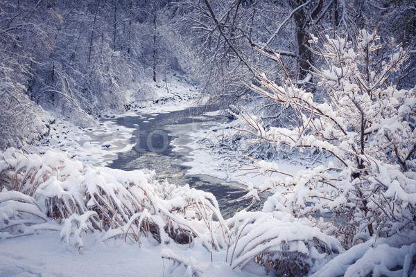 Forêt rivière hiver neige paysage couvert [[stock_photo]] © elenaphoto