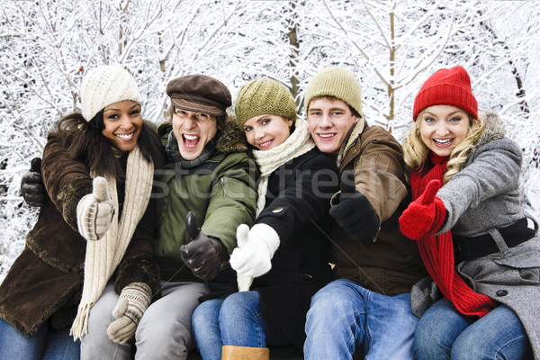 Stockfoto: Groep · vrienden · buiten · winter · jonge