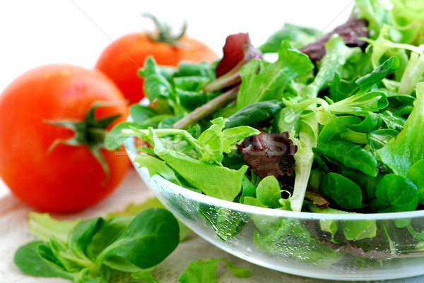 Stock photo: Baby greens and tomatoes
