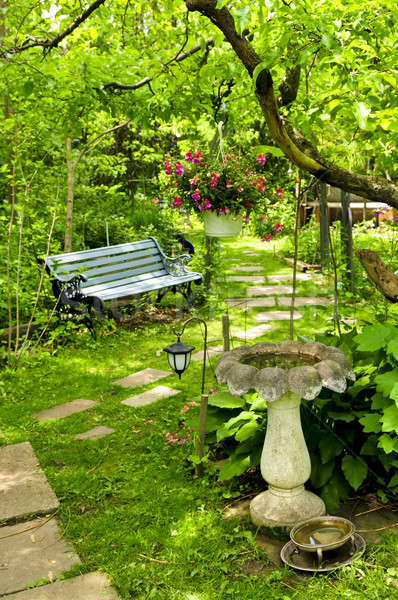Verde giardino percorso pietre lussureggiante Foto d'archivio © elenaphoto