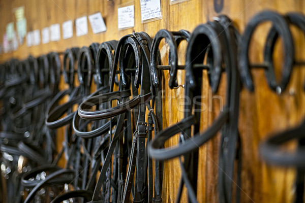 Stock photo: Horse bridles hanging in stable