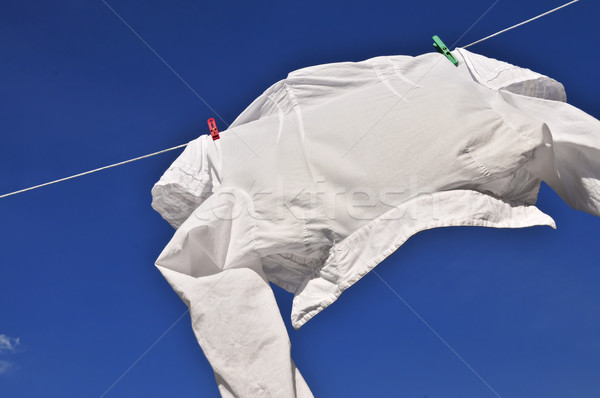 Fehér póló ruházat vonal akasztás száraz Stock fotó © elenaphoto
