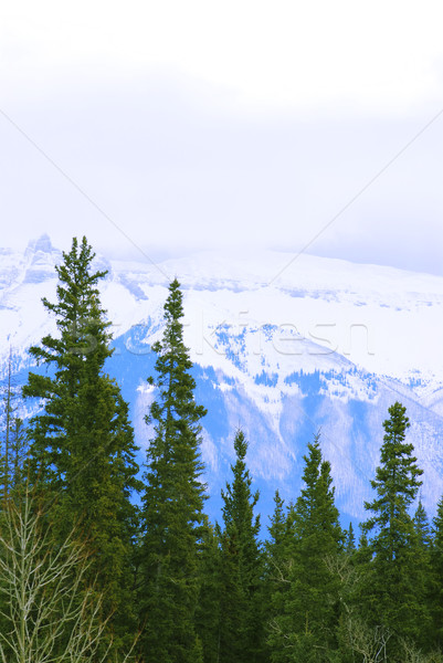 Mountain landscape Stock photo © elenaphoto