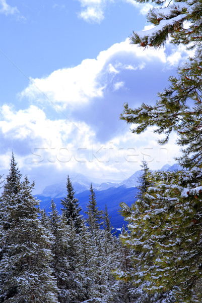 Stock photo: Snowy mountains