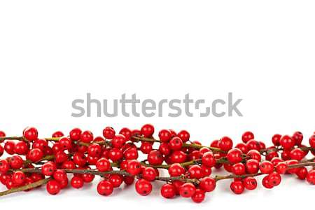 Piros karácsony bogyók keret ágak háttér Stock fotó © elenaphoto
