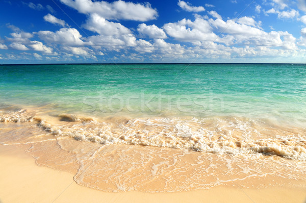 Tropical beach Stock photo © elenaphoto