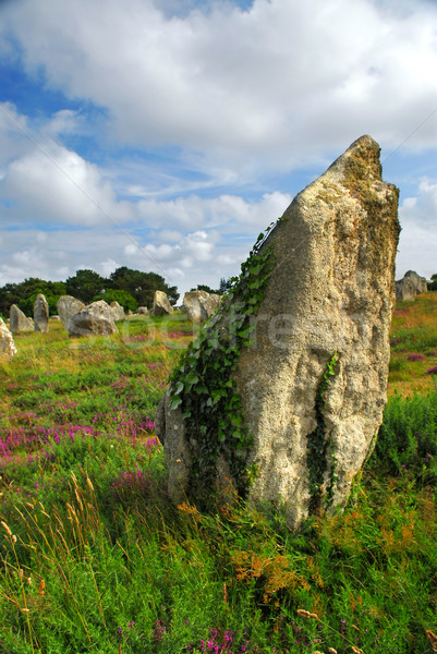 Megalithic monuments in Brittany Stock photo © elenaphoto