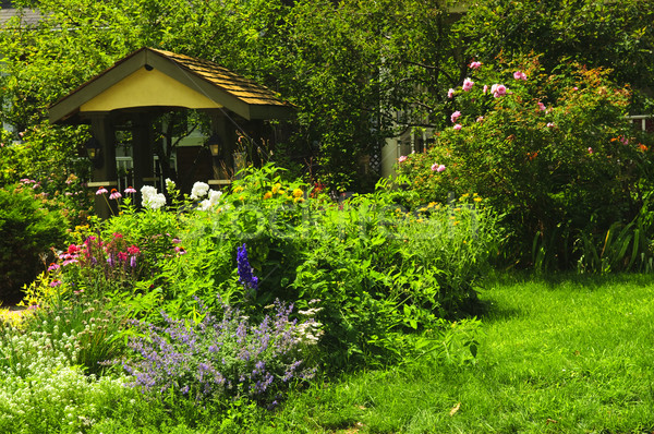 Grădină luxuriant verde flori floare casă Imagine de stoc © elenaphoto