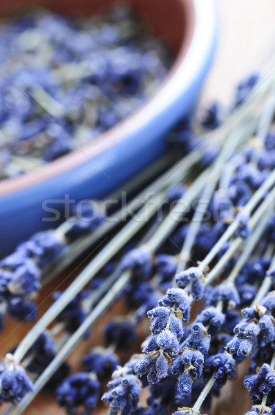 Dried lavender Stock photo © elenaphoto