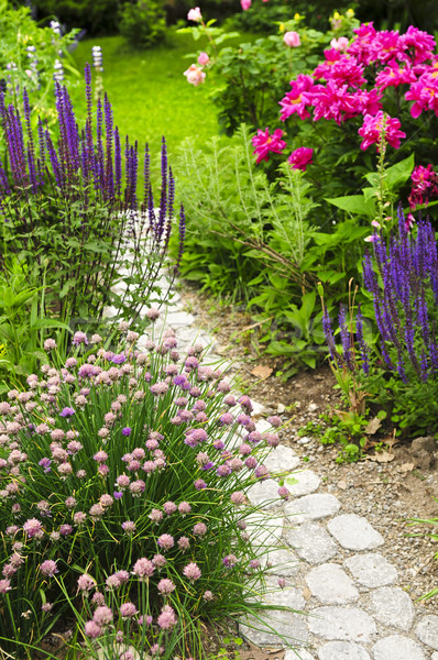 Path in blooming garden Stock photo © elenaphoto