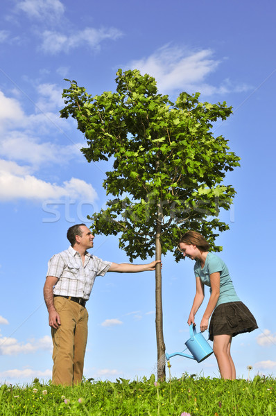 Planting a tree Stock photo © elenaphoto