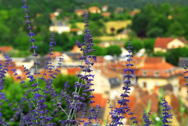 Rooftops in Sarlat, France Stock photo © elenaphoto