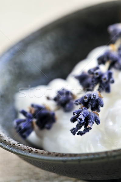 Lavanda crema naturale cura della pelle rami fiori Foto d'archivio © elenaphoto